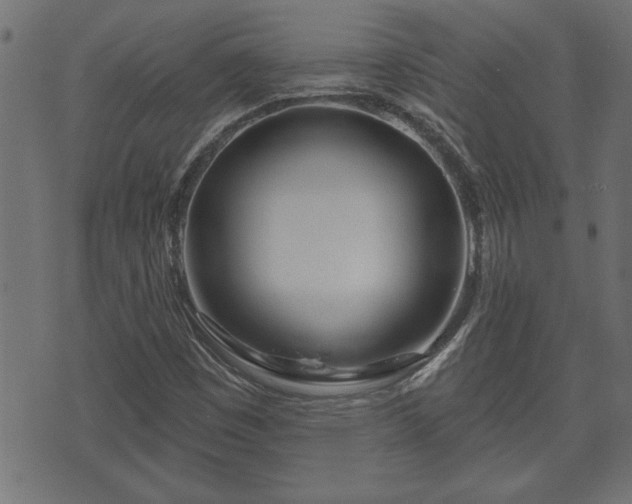 X0000070821449200606230909