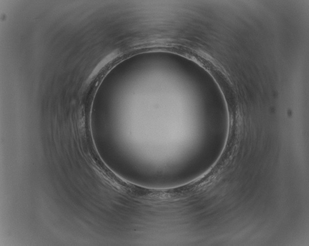 X0000070821450200606230909