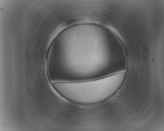X0000070821476200606230909