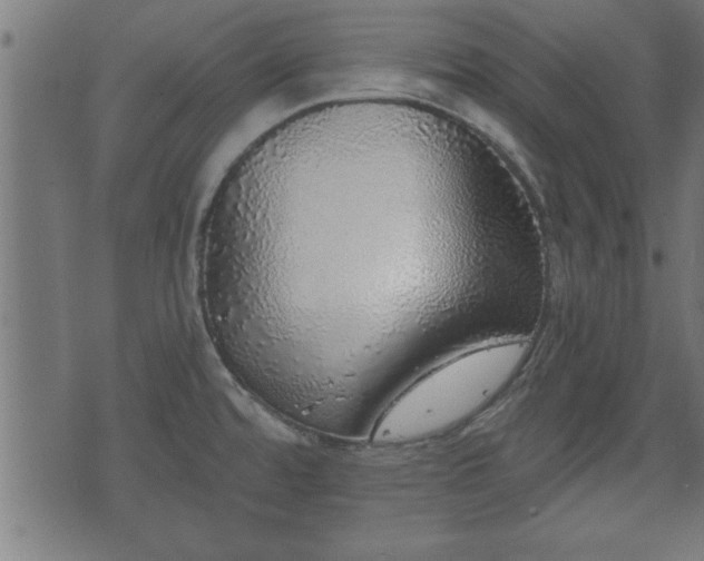 X0000070821480200606230909