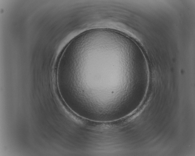X0000070821517200606230908