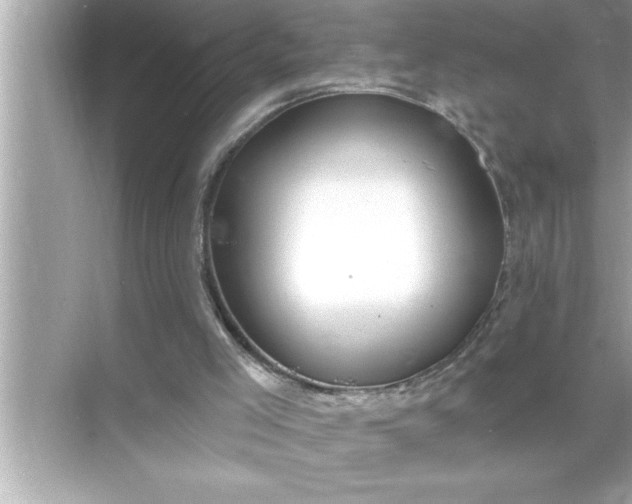 X0000070820005200606301914
