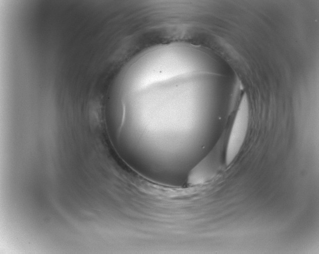X0000070820035200606301914