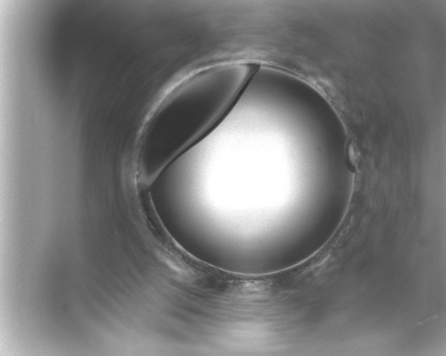 X0000070820056200606301913