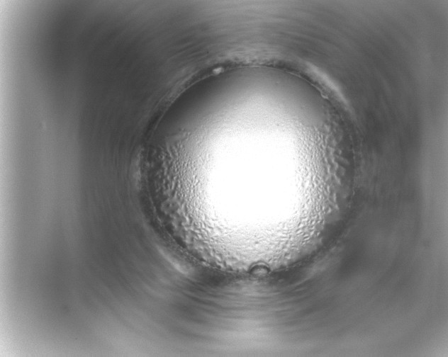 X0000070820065200606301913