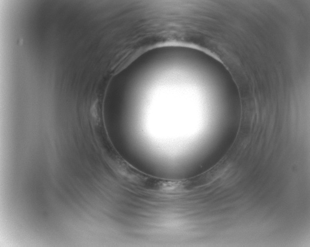 X0000070820088200606301913