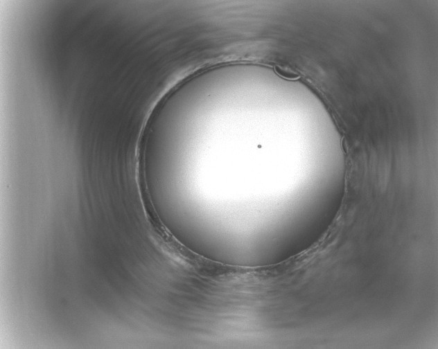 X0000070820100200606301913