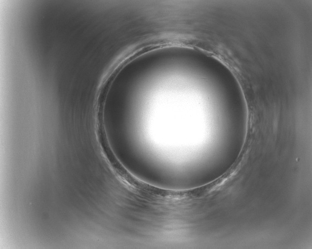 X0000070820101200606301913