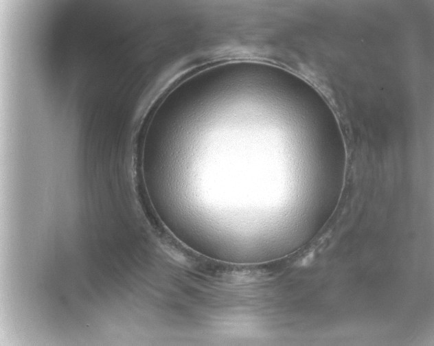 X0000070820103200606301913