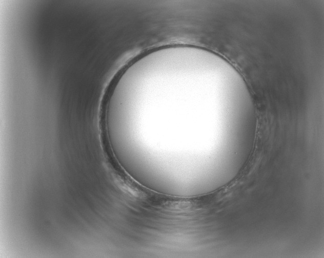 X0000070820104200606301913