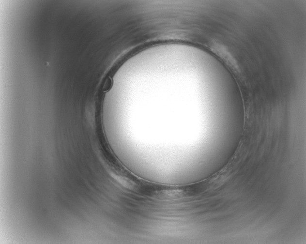 X0000070820108200606301912