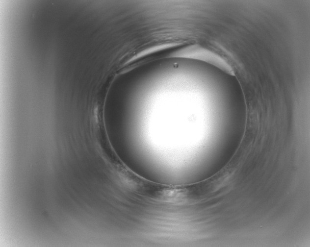 X0000070820117200606301912