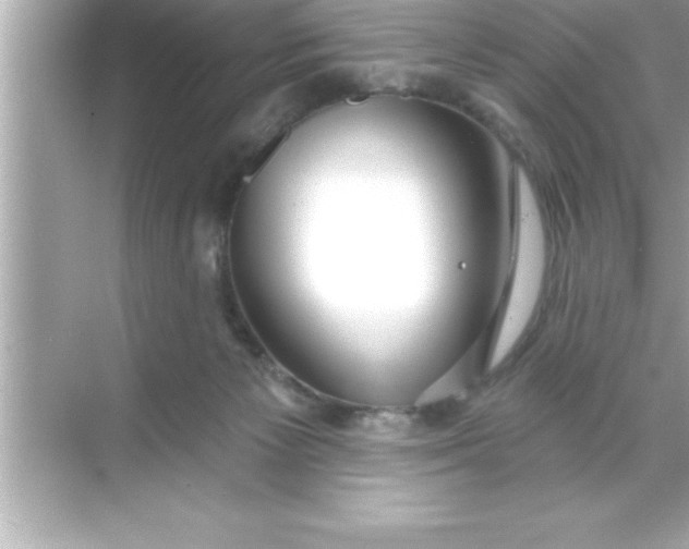X0000070820125200606301912