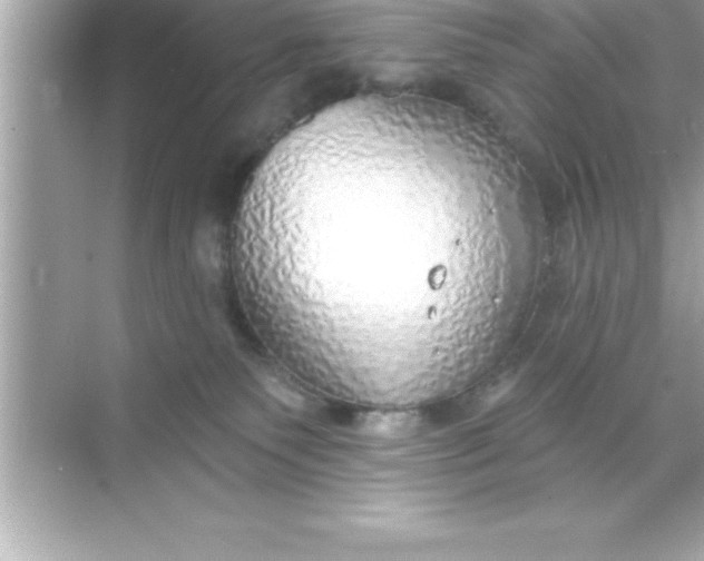 X0000070820135200606301912