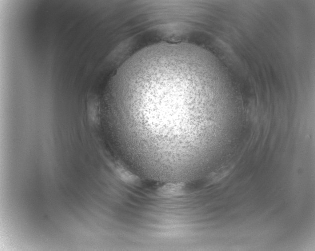 X0000070820138200606301912