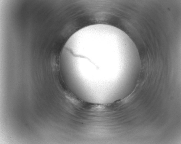 X0000070820140200606301912