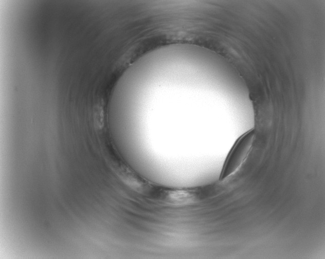 X0000070820183200606301912