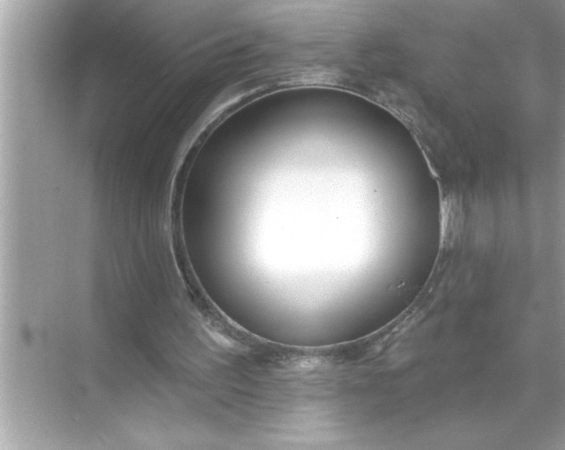 X0000070820195200606301911