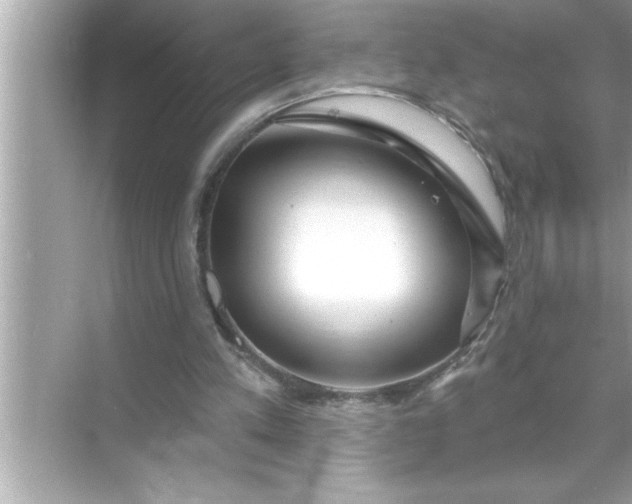 X0000070820197200606301911