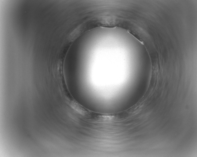 X0000070820233200606301910