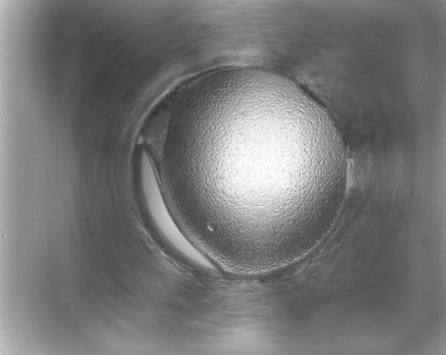 X0000070820243200606301909