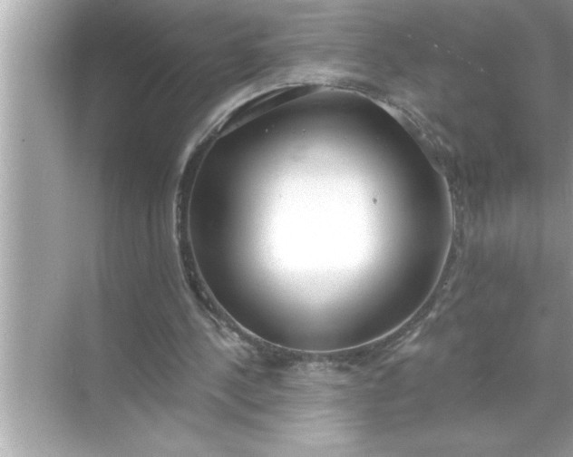 X0000070820244200606301909