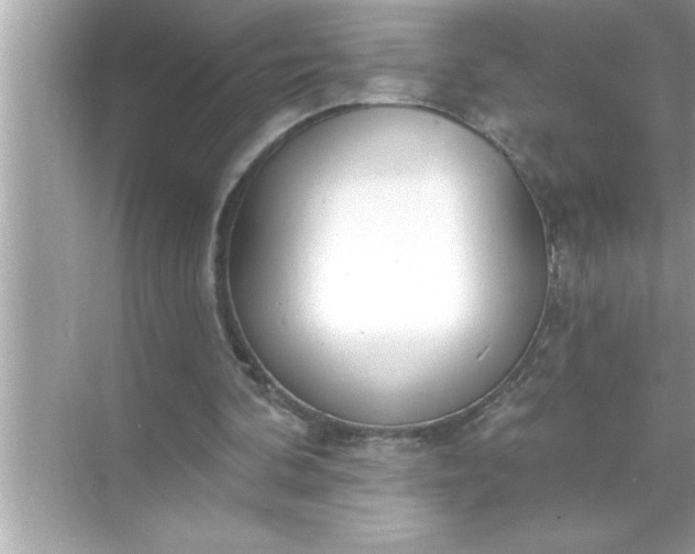 X0000070820292200606301909