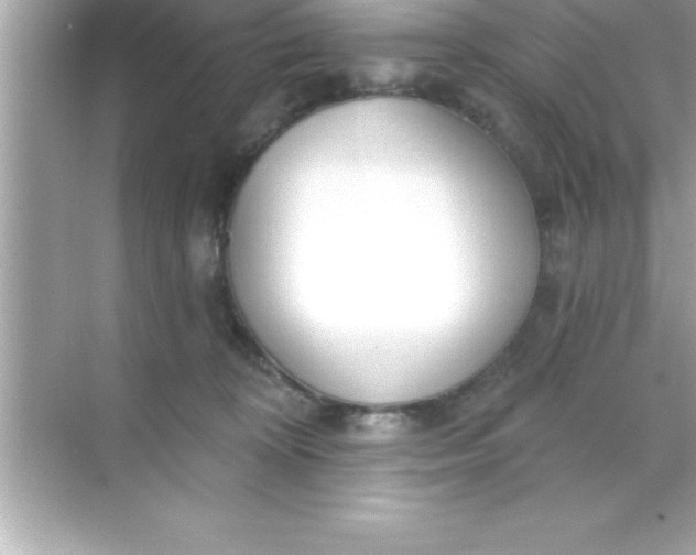 X0000070820324200606301909