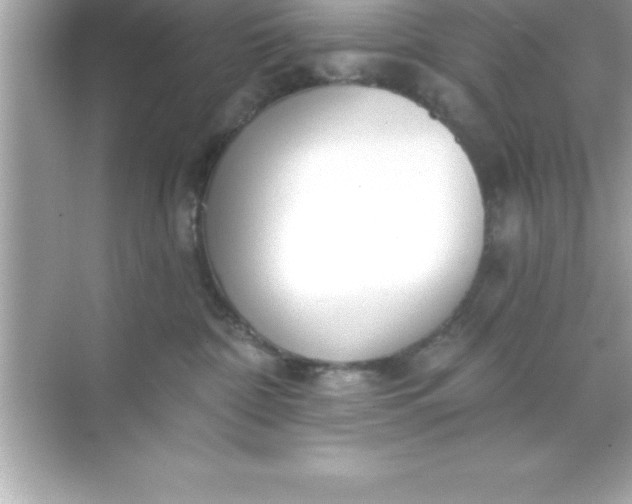 X0000070820332200606301909