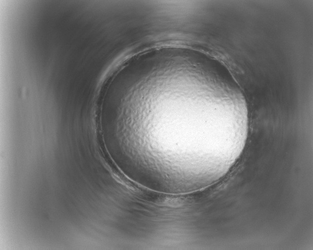 X0000070820341200606301908