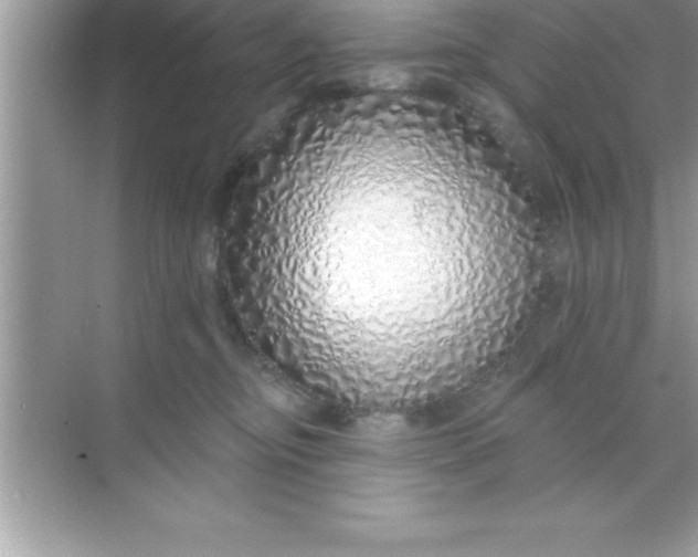 X0000070820374200606301908