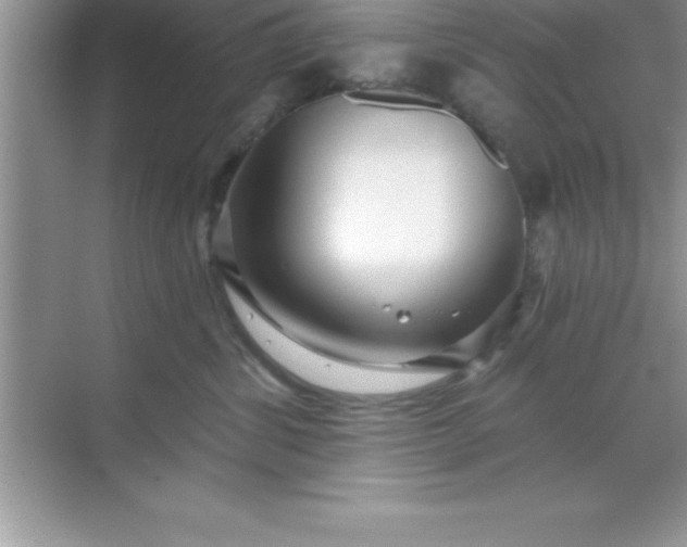 X0000070820428200606301907