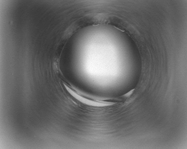 X0000070820432200606301907