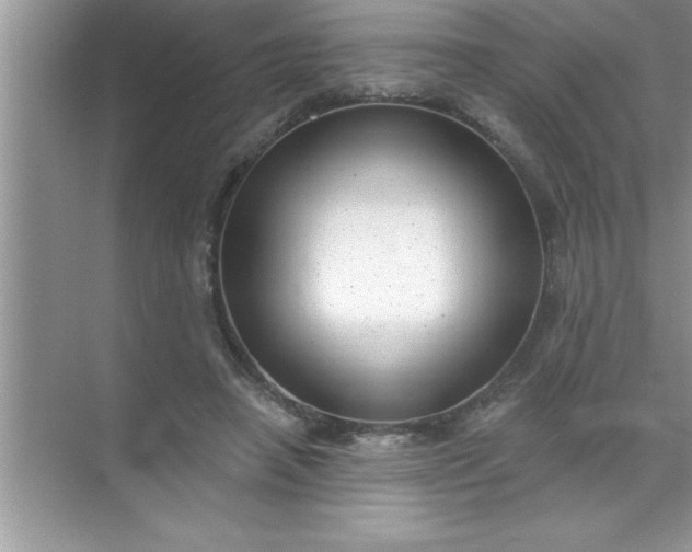 X0000070820450200606301906