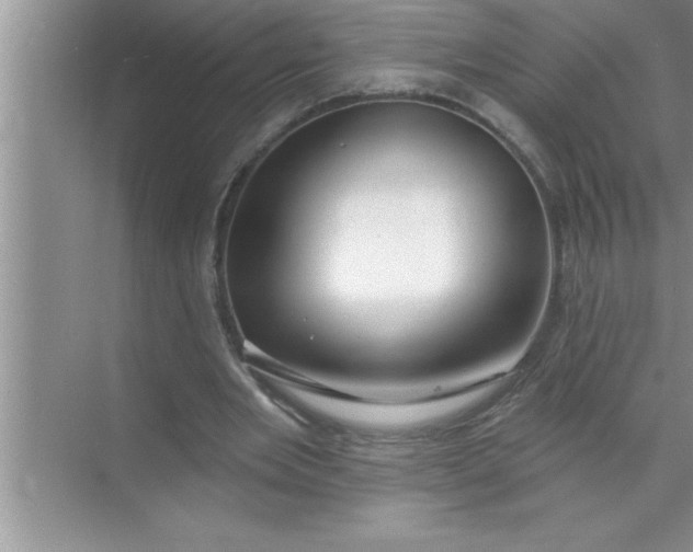 X0000070820485200606301906