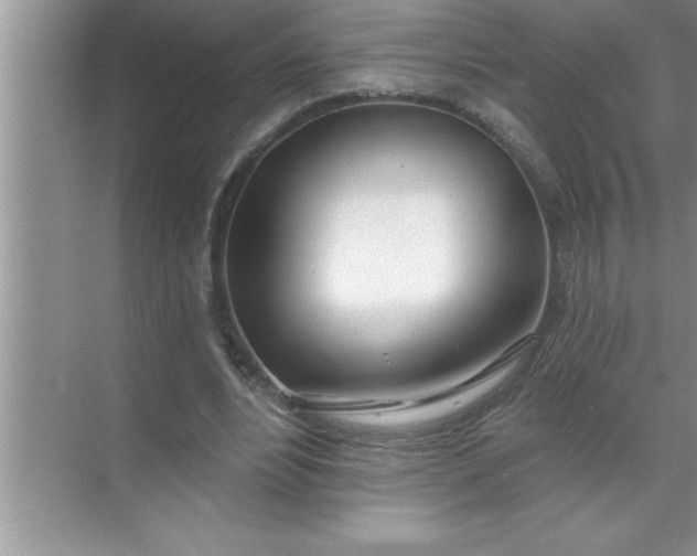 X0000070820488200606301906