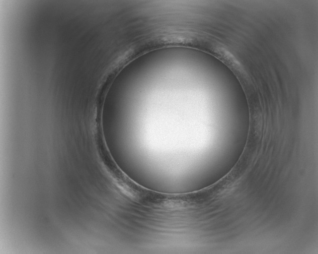X0000070820490200606301906