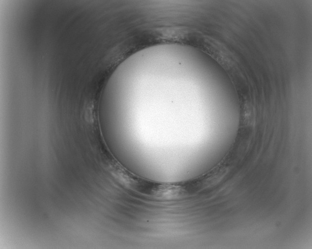 X0000070820514200606301906