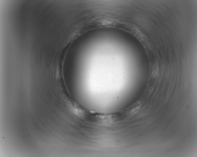 X0000070820524200606301905