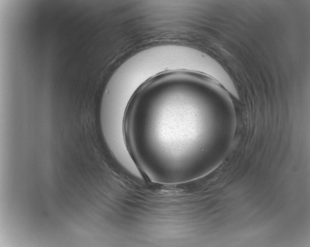 X0000070820556200606301905