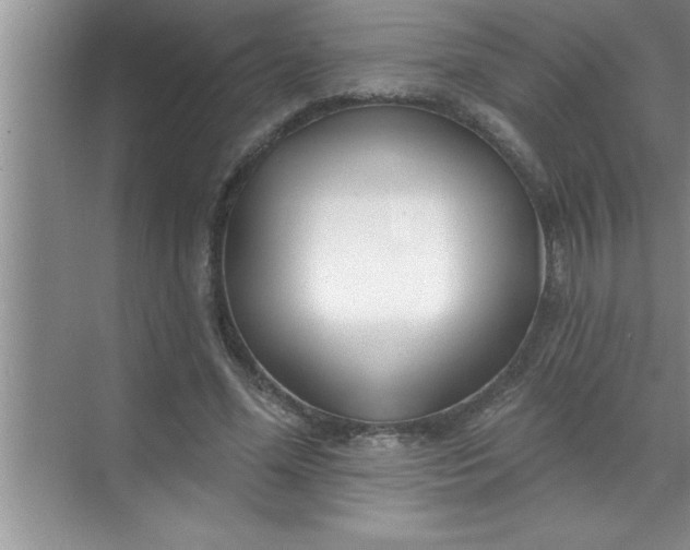 X0000070820588200606301904