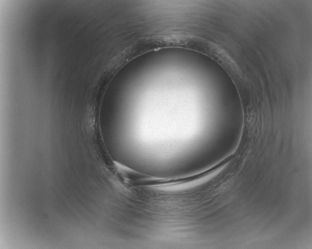 X0000070820593200606301904