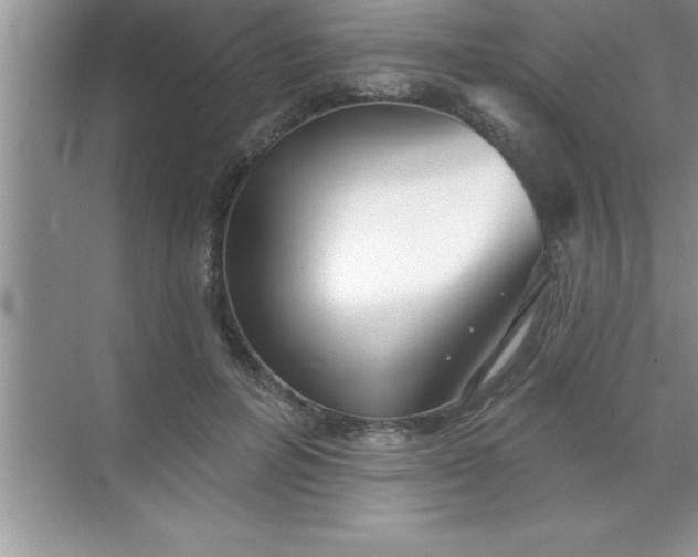 X0000070820600200606301904