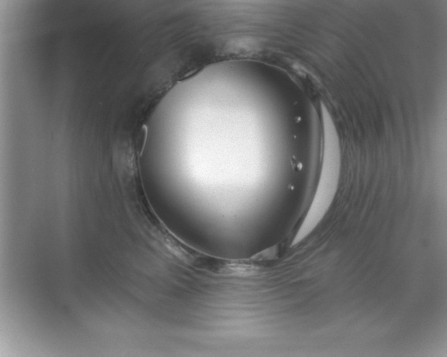 X0000070820617200606301904