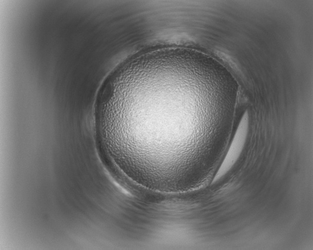 X0000070820630200606301903