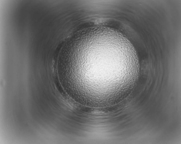 X0000070820650200606301903
