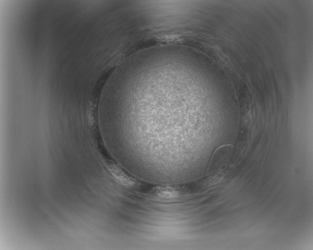 X0000070820658200606301903