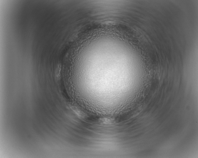 X0000070820660200606301904