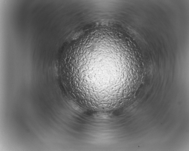 X0000070820661200606301904