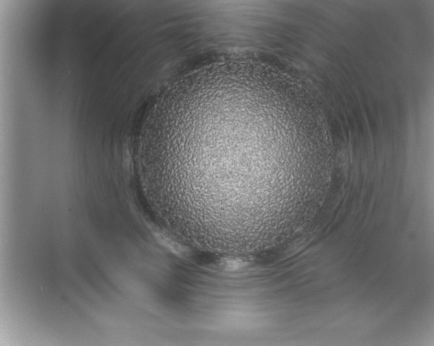 X0000070820662200606301904